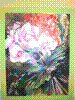 flower show2004 068.jpg